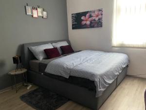 1 dormitorio con 1 cama grande con almohadas rojas en Studio Apartman Jovičić, en Bjelovar