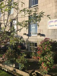 a building with flowers in front of a window at Roselodge Guest House in Aberdeen +6 photos