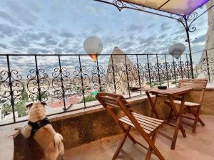 un perro sentado en un balcón con vistas al océano en Castle Cave Hotel, en Göreme