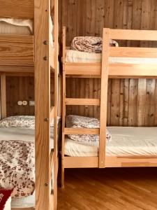 a room with four bunk beds in a cabin at Appartamento Il nido in Carisolo