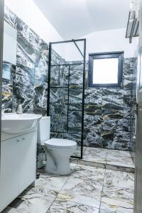 een badkamer met een toilet, een wastafel en een douche bij CASA VIKI in Bănicel