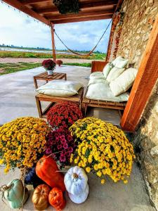 un porche con 2 camas, flores y calabazas en Masia Sisqueta en Els Muntells