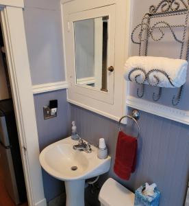 a bathroom with a sink and a toilet and a mirror at Prairie House Manor Bed and Breakfast in De Smet