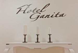 Fotografie z fotogalerie ubytování Hotel Ganita Weil am Rhein v destinaci Weil am Rhein