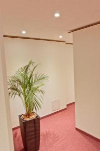 Fotografie z fotogalerie ubytování Hotel Ganita Weil am Rhein v destinaci Weil am Rhein