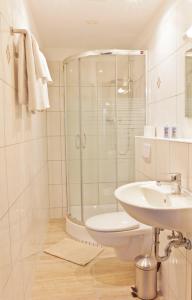 a bathroom with a shower and a toilet and a sink at Hotel Ganita Weil am Rhein in Weil am Rhein