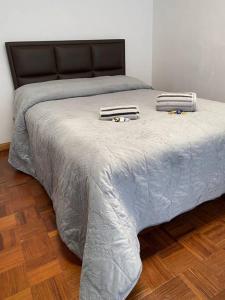 uma cama grande com duas almofadas em cima em Apartamento de lujo con jardines paisajísticos em La Paz