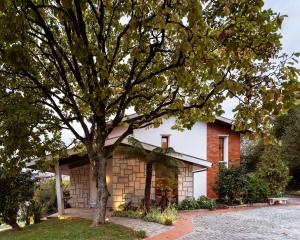 a house with a tree in front of it at Santiago Family House in Sever do Vouga