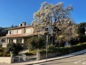 a large house with a tree in front of it at Santiago Family House in Sever do Vouga