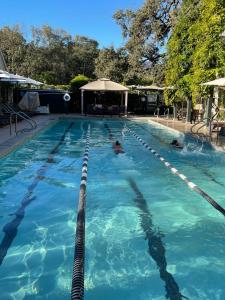 una piscina con 2 personas en el agua en Wydown Hotel en St. Helena