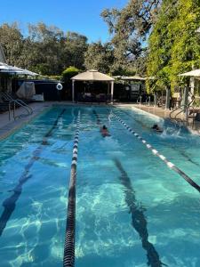 a swimming pool with two people in the water at Wydown Hotel in St. Helena