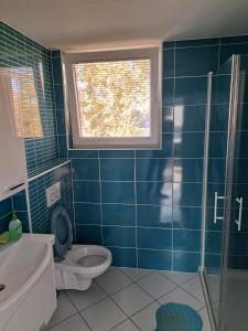 ein blaues Bad mit einem WC und einem Fenster in der Unterkunft Apartma Jaka in Ljubljana