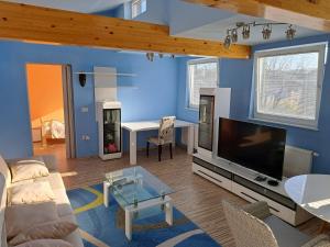 ein Wohnzimmer mit blauen Wänden und einem großen TV in der Unterkunft Apartma Jaka in Ljubljana