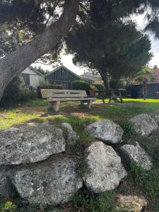 un banco del parque y un montón de rocas junto a un árbol en L'étoile de mer, en Bourcefranc