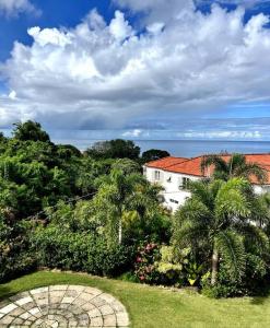 een uitzicht op een huis met palmbomen en de oceaan bij Ferron House in Saint James