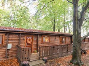 a log cabin in the woods with a tree at Leafy Hollow Lodge in Louth