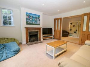 a living room with a fireplace and a tv at Bailey Cottage in Southampton