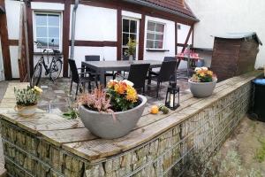 un mur de rétention en bois avec trois plantes en pot dans l'établissement Schöne Große Wohnung, Terrasse, Kamin, Parkplatz, 2 Schlafzimmer, à Greifswald