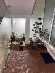 Fotografie z fotogalerie ubytování Hotel fresno Xochitepec v destinaci Chiconcuac