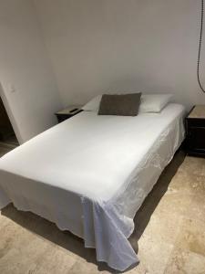 Postel nebo postele na pokoji v ubytování Hotel fresno Xochitepec