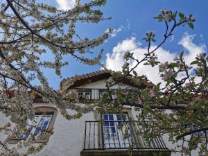 a building with windows and a flowering tree at Casa das Quintas in Quinta das Quebradas