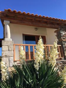 a house with white flowers in front of it at Casa das Quintas in Quinta das Quebradas