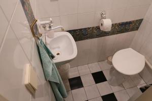 een badkamer met een toilet en een wastafel bij Chata Bludička in Deštné v Orlických horách