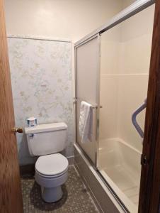 a small bathroom with a toilet and a shower at Crossroads motel & cabins in Oxford