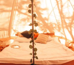 Säng eller sängar i ett rum på Alereks Mountain Camping