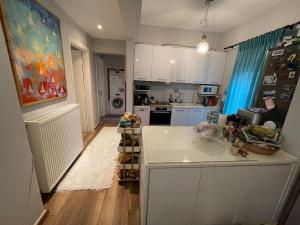 Kuchyňa alebo kuchynka v ubytovaní Luxury apartment in city center