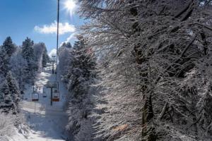 Fotografia z galérie ubytovania [FREE WIFI] Elegante bilocale vicino alle piste v destinácii Scopello + 2 fotografie