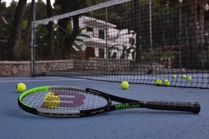 a tennis racket and tennis balls on a tennis court at DASÝLIO - earthy living homes in Ialysos