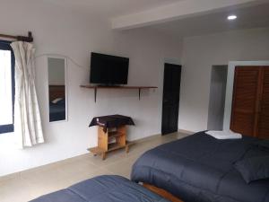 a bedroom with a bed and a flat screen tv at Hospedaje Anayauhcalli in Tepoztlán +15 photos