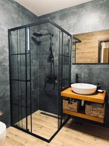 a bathroom with a shower and a sink at Tri vrbe in Ljubovija