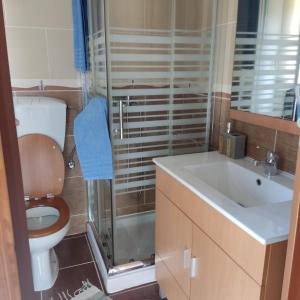 La salle de bains est pourvue de toilettes, d'un lavabo et d'une douche. dans l'établissement Casinha da Sobreira, à Penacova