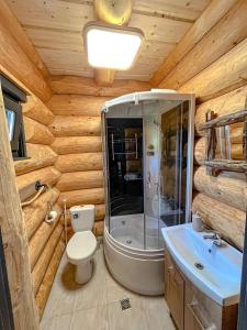 ein Bad mit einer Dusche, einem WC und einem Waschbecken in der Unterkunft Wild tree house in Vărşag