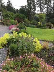 um jardim com muitos tipos diferentes de flores em Ravens Rest em Llanwrda