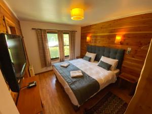 TV a/nebo společenská místnost v ubytování Hotel Andes Pucón