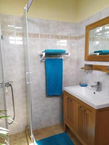 a bathroom with a shower and a sink and a mirror at Chambres d'hôte Sud Basse-Terre in Gourbeyre