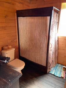 a bathroom with a toilet and a shower at Cabañas Lickanantay in Puerto Varas