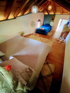 a living room with a bed and a blue couch at Troncones Point Hostel in Troncones
