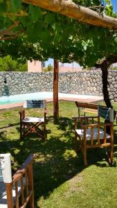 a group of benches sitting under a tree at Pasillos del Viñedo in Cafayate