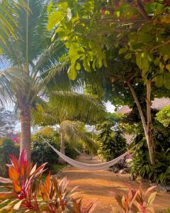 a hammock in the middle of a garden with palm trees at Troncones Point Hostel in Troncones