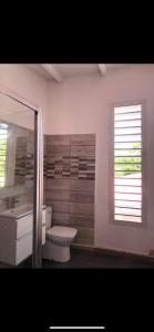 a bathroom with a toilet and a sink and a mirror at Villa le Moulin - Didier BERVILLE in Le Gosier