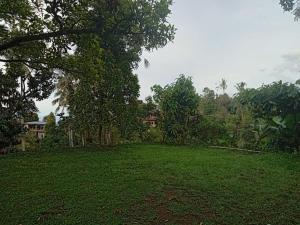 Galeriebild der Unterkunft Sekumpul Local House in Singaraja