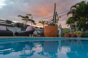 una piscina con sedie e piante accanto ad essa di Le Coin d'Azur a Petite-Île
