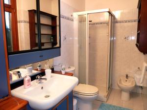 ein Bad mit einem Waschbecken, einer Dusche und einem WC in der Unterkunft B&B Gli Eremiti in Andorno Micca