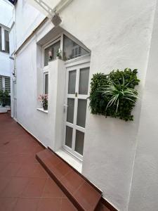 a white building with a window with plants on it at Brasov Place in Braşov