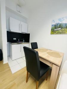 Кухня или мини-кухня в Wohnapartments in Mainz
