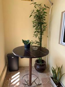 een tafel met planten op een kamer bij Casa de los abuelos in Salina Cruz
